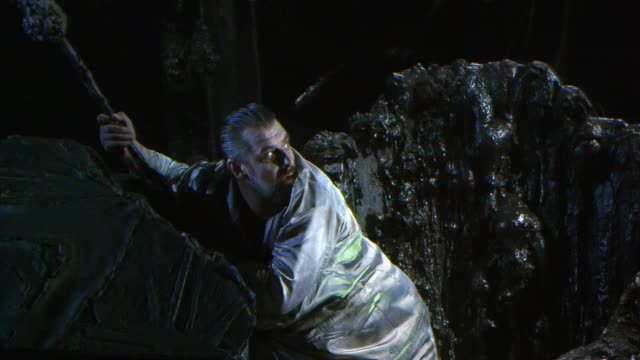 WAGNER, R.: Siegfried (Bayreuth Festival, 1992)