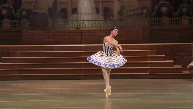 NEW YEAR'S EVE IN SAINT PETERSBURG (Mariinsky Theatre, 2006)