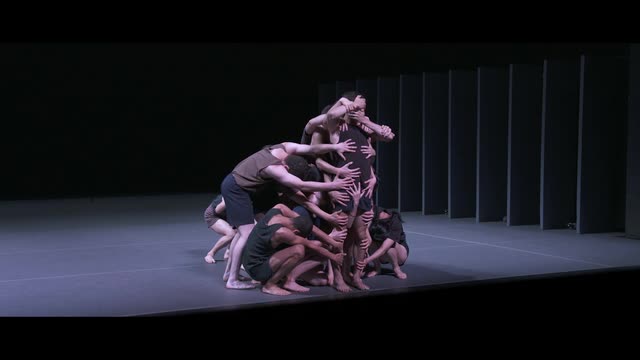  ART OF OHAD NAHARIN (THE) - Last Work [Ballet] (Batsheva Dance Company, 2017)