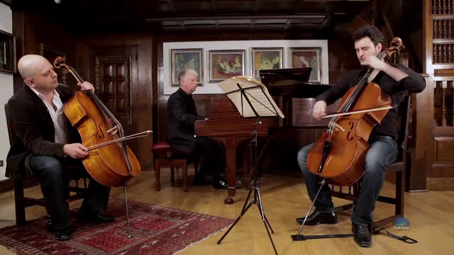 BRAHMS, J.: Cello Sonata No. 1 (Masterclass with Alexander Chaushian) (Chaushian, Rapado, Bezrodnyi)