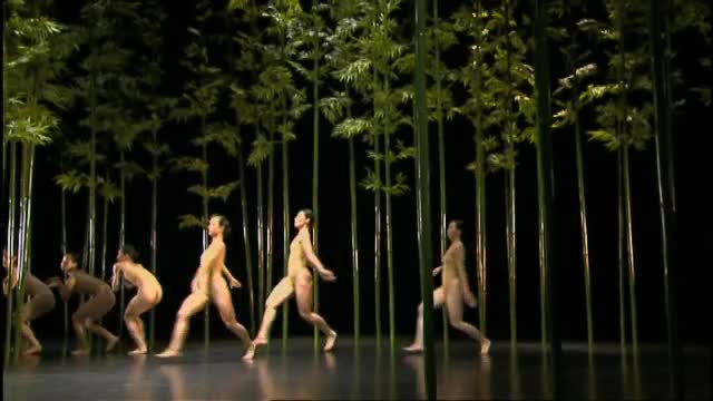 CHINA Cloud Gate Dance Theatre of Taiwan: Bamboo Dream (2002)