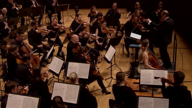 Orchestral Music - BARTOK, B. / MARTINU, B. / BIZET, G. / HAYDN, J. (Lucerne Festival 2018) (Gabetta, Mahler Chamber Orchestra, Roth)