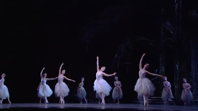 TCHAIKOVSKY, P.I.: Swan Lake (Royal Ballet, 2009)