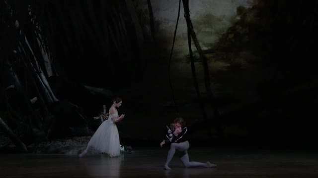 ADAM, A.: Giselle [Ballet] (Royal Ballet, 2016)